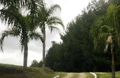 Ferreira negócios imobiliários vende	chácara em caxias do sul bairro vila seca chácara