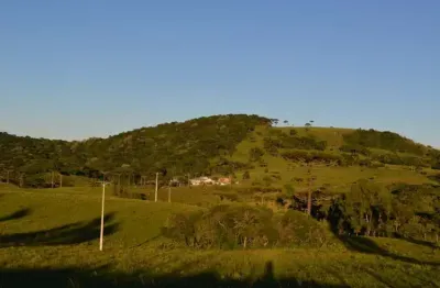 Ferreira negócios imobiliários vende	chácara em sã£o francisco de paula bairro décio ramos décio ramos