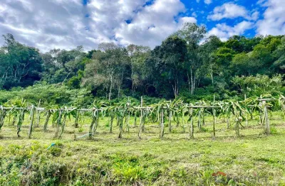 Chácara / sítio à venda no São Pedro da Terceira Légua, Caxias do Sul  por R$ 250.000