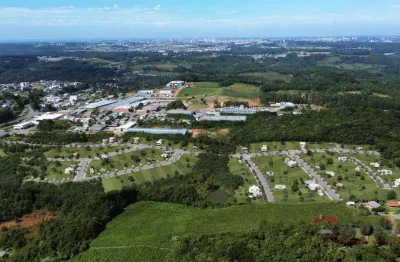 Ferreira negócios imobiliários vende	terreno em flores da cunha bairro são gotardo  villa trentina