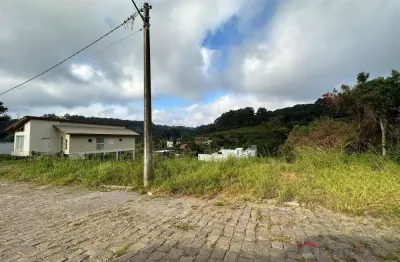 Terreno à venda no Monte Bérico, Caxias do Sul 