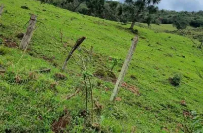 Ferreira negócios imobiliários vende	chácara em caxias do sul bairro santa lúcia do piaí chácara