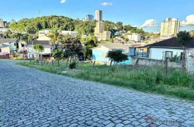 Ferreira negócios imobiliários vende	terreno em caxias do sul bairro salgado filho terreno