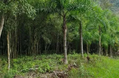 Ferreira negócios imobiliários vende	chácara em caxias do sul bairro galópolis chácara