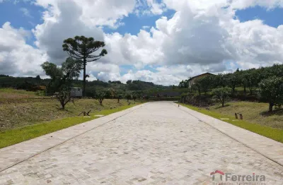 Terreno à venda no Monte Bérico, Caxias do Sul 