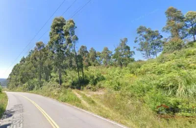 Chácara / sítio à venda no são virgílio, caxias do sul  por r$ 359.000