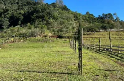 Ferreira negócios imobiliários vende	chácara em caxias do sul bairro são pedro da terceira légua chácara