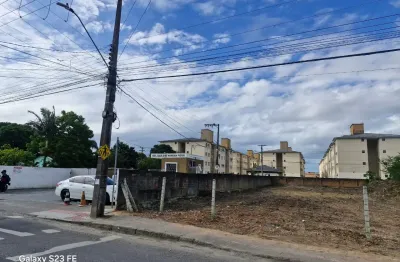 Terreno à venda na Rua Nelson Floriano Campos, 2630, Pachecos, Palhoça