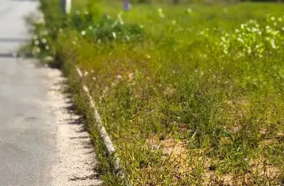 LOTES INDUSTRIAIS/COMERCIAIS 627m2 em diante/ BR 282 e AV.SÃO CRISTÓVÃO parcelafus até 72X