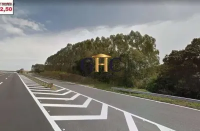 Vendo - área - araçoiaba da serra/sp
rodovia raposo tavares - km 122,50  

área total: 250.000 m².