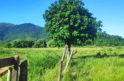 Sítio para venda em cachoeiras de macacu, agro brasil