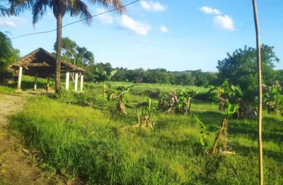 Chácara / sítio à venda no Peróbas (Pachecos), Itaboraí 
