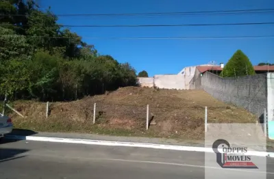 Terreno comercial para alugar na Rua Julieta Vidal Osório, s/n, Centro, Araucária