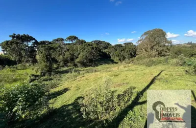 Terreno à venda na Rua Magnólia, Campina da Barra, Araucária