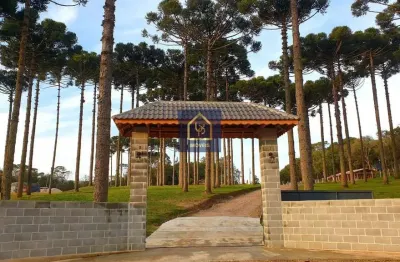 Chácara / sítio com 2 quartos à venda na Ribeirão Grande, Centro, Agudos do Sul