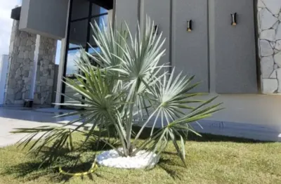 Casa em condomínio fechado com 3 quartos à venda na Avenida Escritor Ramalho Leite, Muçumagro, João Pessoa