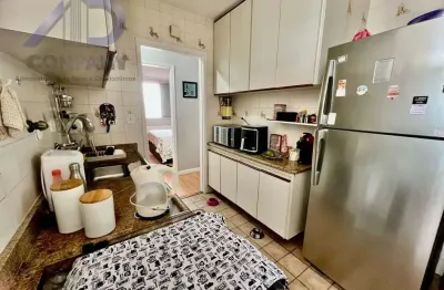 Apartamento com 2 quartos à venda na Rua Tenente-Coronel Antônio Braga, Vila Santa Catarina, São Paulo