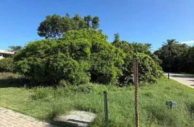 Terreno em condomínio fechado à venda na Praia do Forte, Mata de São João 