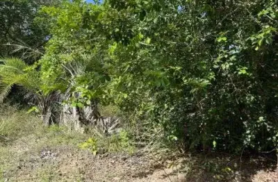 Lote á venda no cond praia de castelo - praia do forte