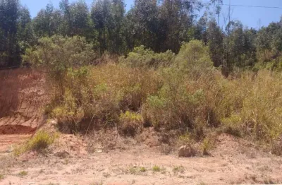 Terreno à venda, 250 m² por R$ 150.000,00 - Jardim das Angélicas - Itupeva/SP