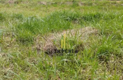 Terreno à venda, 239 m² por r$ 300.000,00 - vila santa terezinha - várzea paulista/sp