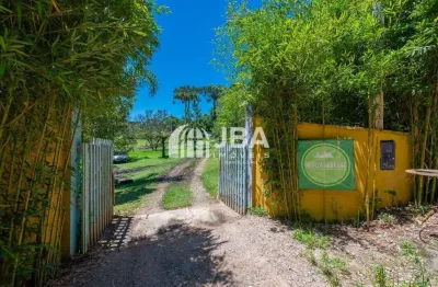 Chácara / sítio à venda na Rodovia BR-277, Borda do Campo, São José dos Pinhais