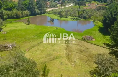 Chácara / sítio à venda na Rodovia BR-277, Borda do Campo, São José dos Pinhais
