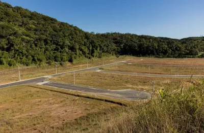 Terreno à venda na Avenida Prefeito Alberto Natalino Miquelute, 6530, Itinga, Araquari
