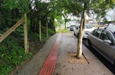 Terreno no anita garibaldi com 0 quartos para venda, 3037 m²