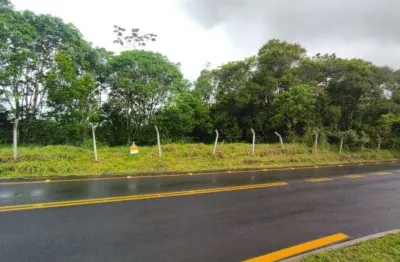Terreno comercial à venda em Reta, São Francisco do Sul 