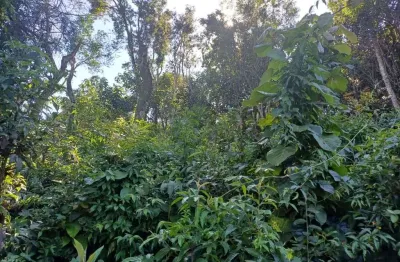 Terreno à venda, 1000 m² por r$ 200.000 - recanto do céu azul - mairiporã/sp