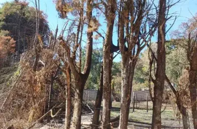 Terreno à venda, 3072 m² por r$ 550.000,00 - terra preta - mairiporã/sp