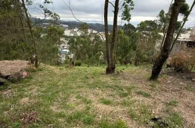 Terreno à venda, 607 m² por r$ 450.000 - terra preta - mairiporã/sp