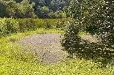 Sítio à venda, 53000 m² por R$ 1.590.000 - Vila Machado - Mairiporã/SP