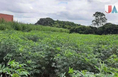 Terreno à venda, 1000 m² por r$ 180.000,00 - jundiaquara - araçoiaba da serra/sp
