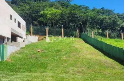 Terreno à venda, 491 m² por r$ 745.000,00 - condomínio alphaville iii - ribeirão preto/sp