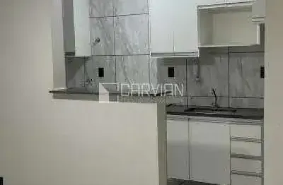 Apartamento com 2 quartos à venda na Rua Olavio Rodrigues de Souza, Condomínio Guaporé, Ribeirão Preto