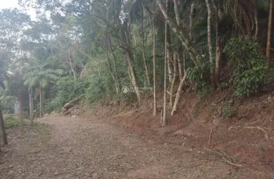 Terreno à venda na estrada rozália paulina ferreira, 2923, pântano do sul, florianópolis, 720 m2 por r$ 620.000