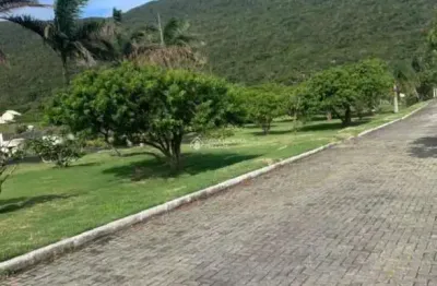 Terreno em condomínio fechado à venda na estrada francisco thomas dos santos, 19, pântano do sul, florianópolis, 390 m2 por r$ 440.000