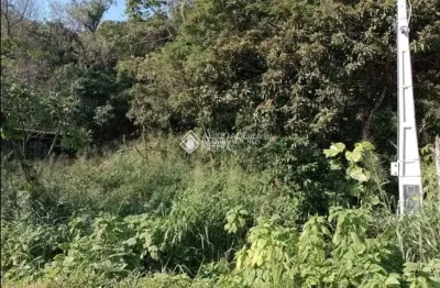 Terreno à venda na rodovia francisco thomaz dos santos, 8839, armação do pântano do sul, florianópolis, 800 m2 por r$ 650.000