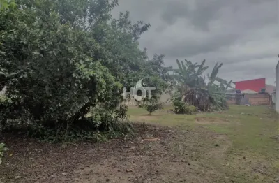 Terreno à venda na rua valentim vieira, 1657, praia joão rosa, biguaçu, 4571 m2 por r$ 5.300.000