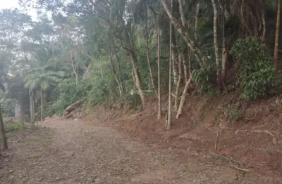 Terreno à venda na estrada rozália paulina ferreira, 2923, pântano do sul, florianópolis, 702 m2 por r$ 590.000