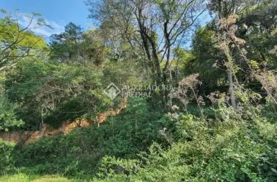 Terreno à venda na rua laurindo januário da silveira, 150, lagoa da conceição, florianópolis por r$ 4.800.000