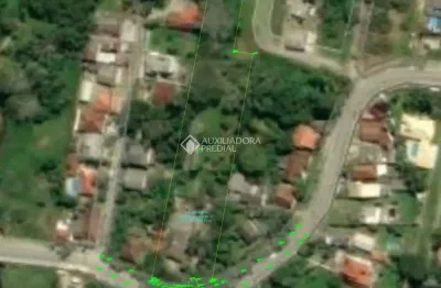 Terreno à venda na rua intendente antônio damasco, 3559, ratones, florianópolis, 4946 m2 por r$ 4.790.000