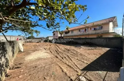 Terreno à venda na travessa dos canários, tapera, florianópolis, 434 m2 por r$ 500.000