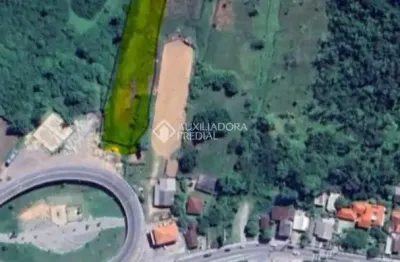 Terreno à venda na rodovia doutor antônio luiz moura gonzaga, 4734, rio tavares, florianópolis, 4017 m2 por r$ 997.000