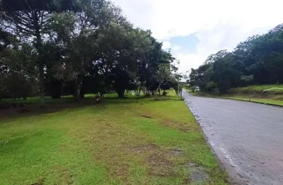 Terreno à venda na rua intendente antônio damasco, 4687, ratones, florianópolis, 2464 m2 por r$ 880.000