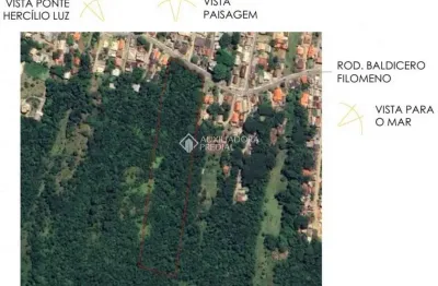 Terreno à venda na rodovia baldicero filomeno, 847, ribeirão da ilha, florianópolis, 30118 m2 por r$ 15.300.000