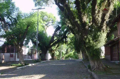 Terreno residencial à venda, bairro vila ipiranga, porto alegre.