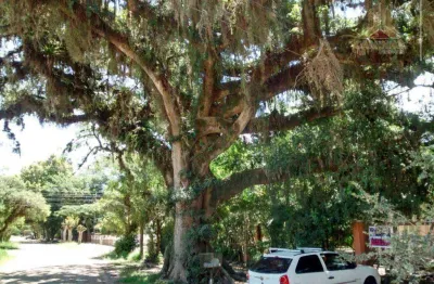 Terreno à venda na Avenida Desembargador Mello Guimarães, 135, Belém Novo, Porto Alegre